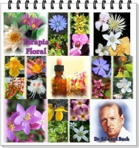 flores de bach